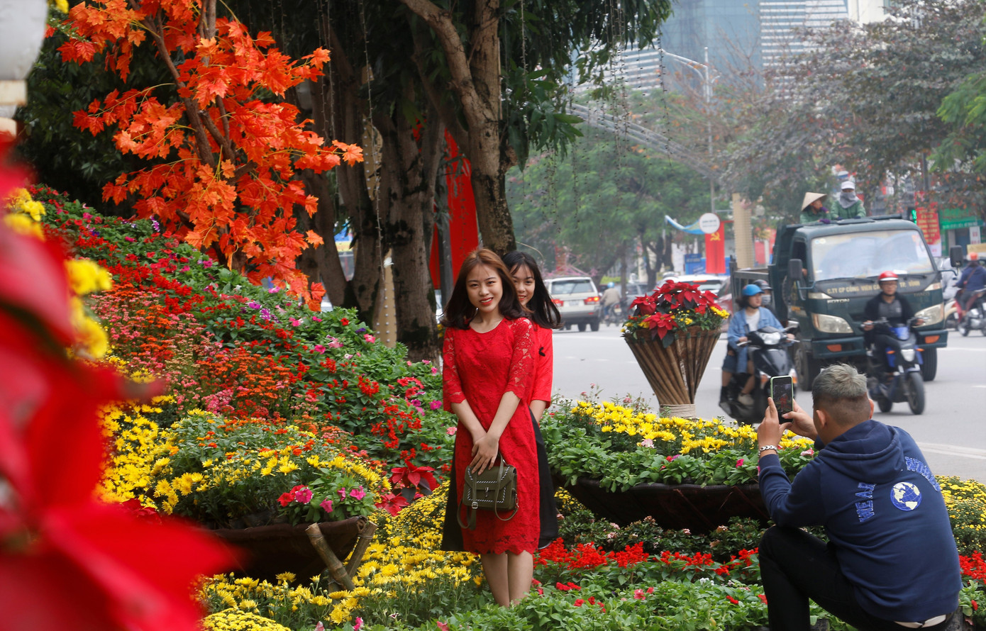 Rực rỡ đường hoa thành phố Vinh những ngày áp tết ảnh 9
