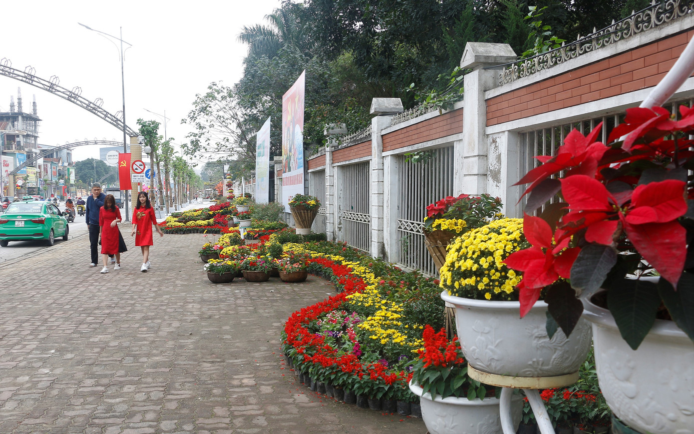 Rực rỡ đường hoa thành phố Vinh những ngày áp tết ảnh 8