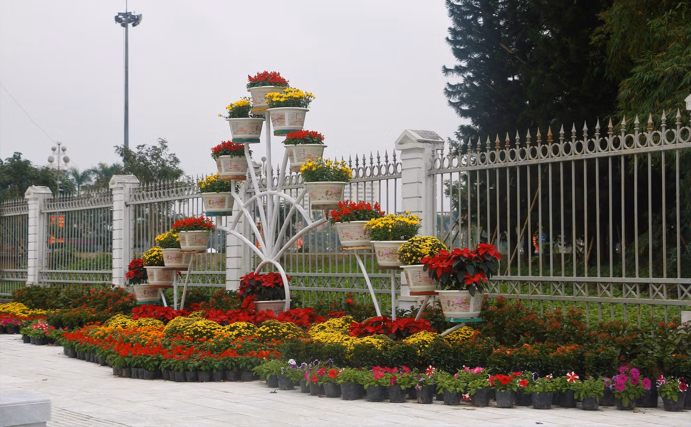 Rực rỡ đường hoa thành phố Vinh những ngày áp tết ảnh 4