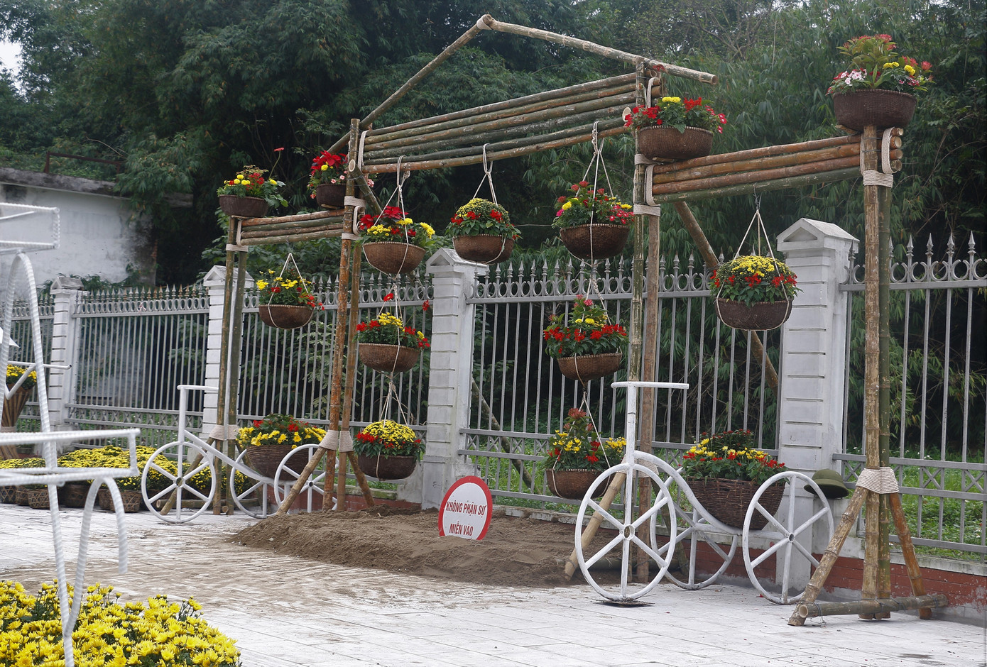 Rực rỡ đường hoa thành phố Vinh những ngày áp tết ảnh 5