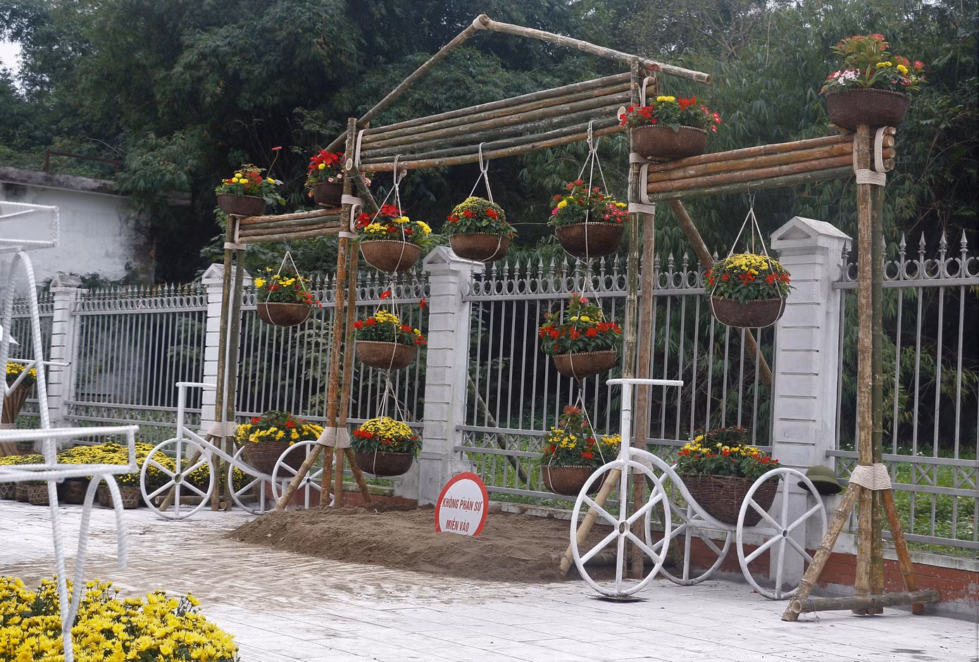 Rực rỡ đường hoa thành phố Vinh những ngày áp tết ảnh 5