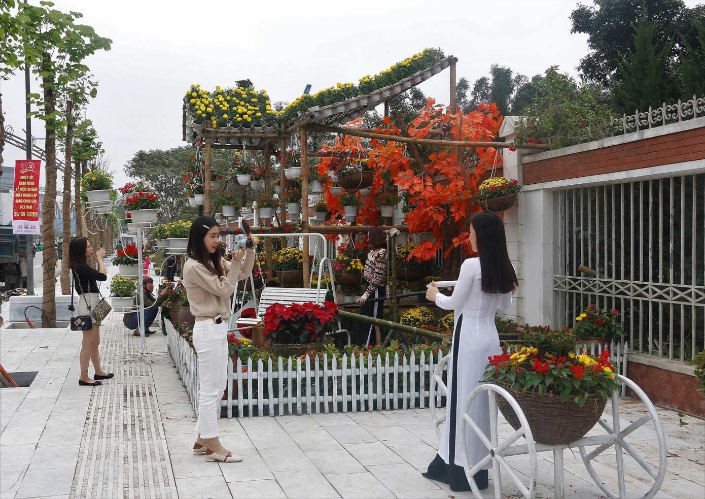 Rực rỡ đường hoa thành phố Vinh những ngày áp tết ảnh 6