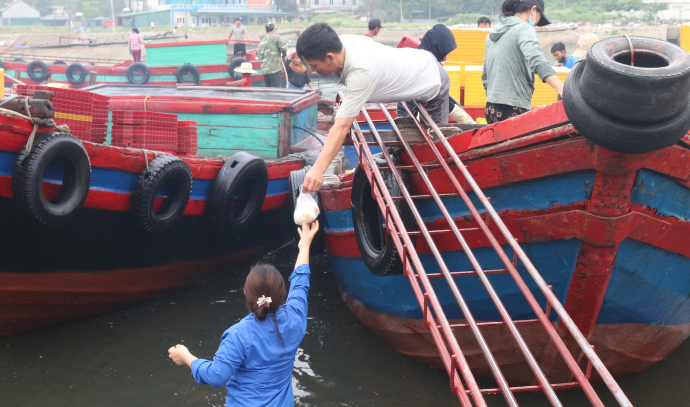 Nhịp sống nơi cảng cá bình yên mỗi chuyến thuyền về cập bến ảnh 3