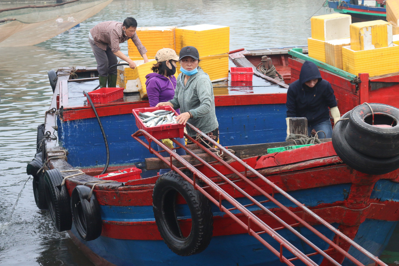Nhịp sống nơi cảng cá bình yên mỗi chuyến thuyền về cập bến ảnh 4