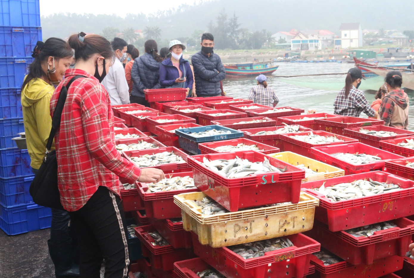 Nhịp sống nơi cảng cá bình yên mỗi chuyến thuyền về cập bến ảnh 15