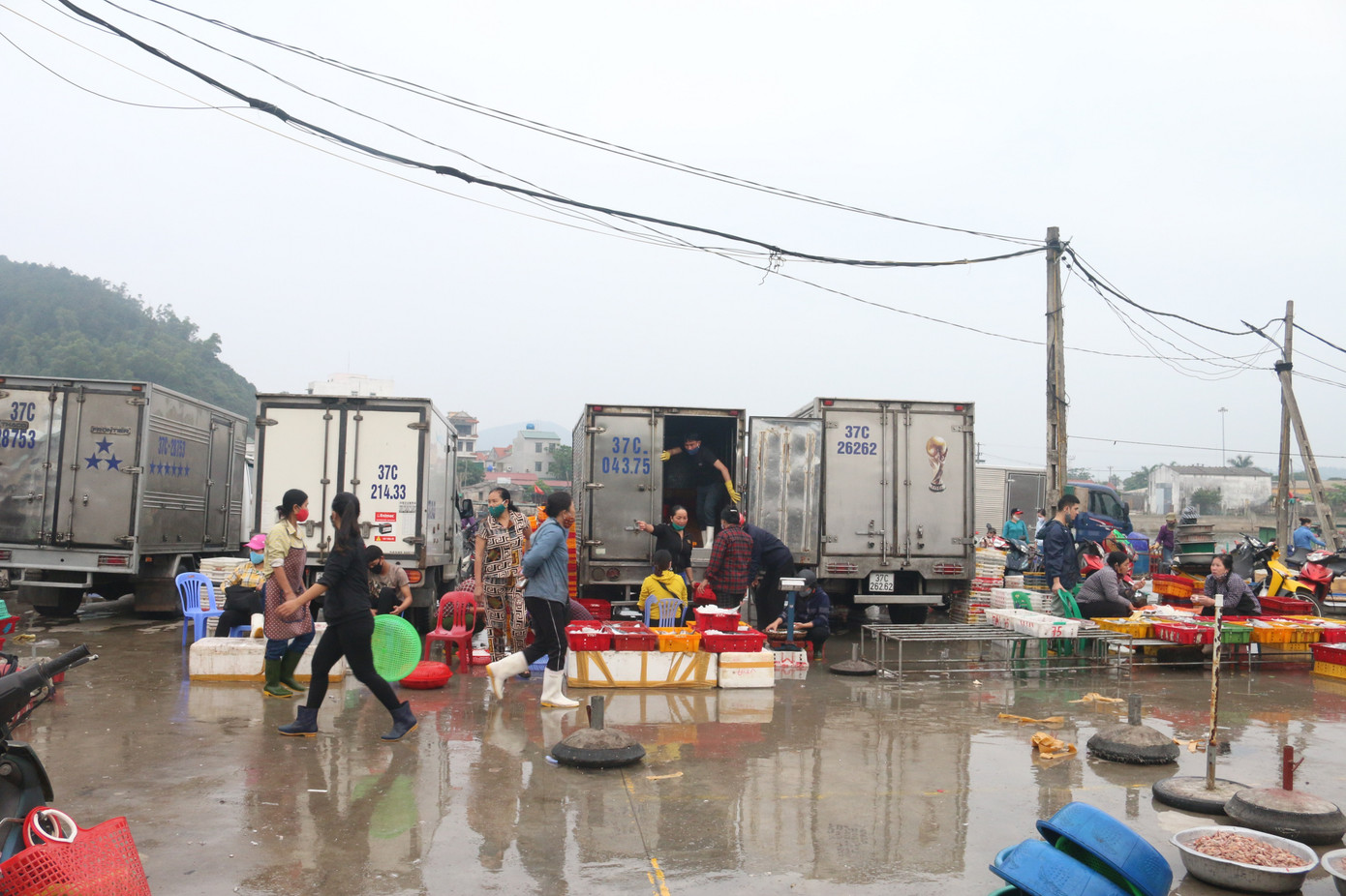 Nhịp sống nơi cảng cá bình yên mỗi chuyến thuyền về cập bến ảnh 11