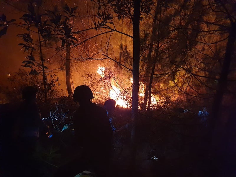 Hàng nghìn người trắng đêm dập lửa cứu rừng Nghệ An, Hà Tĩnh ảnh 1
