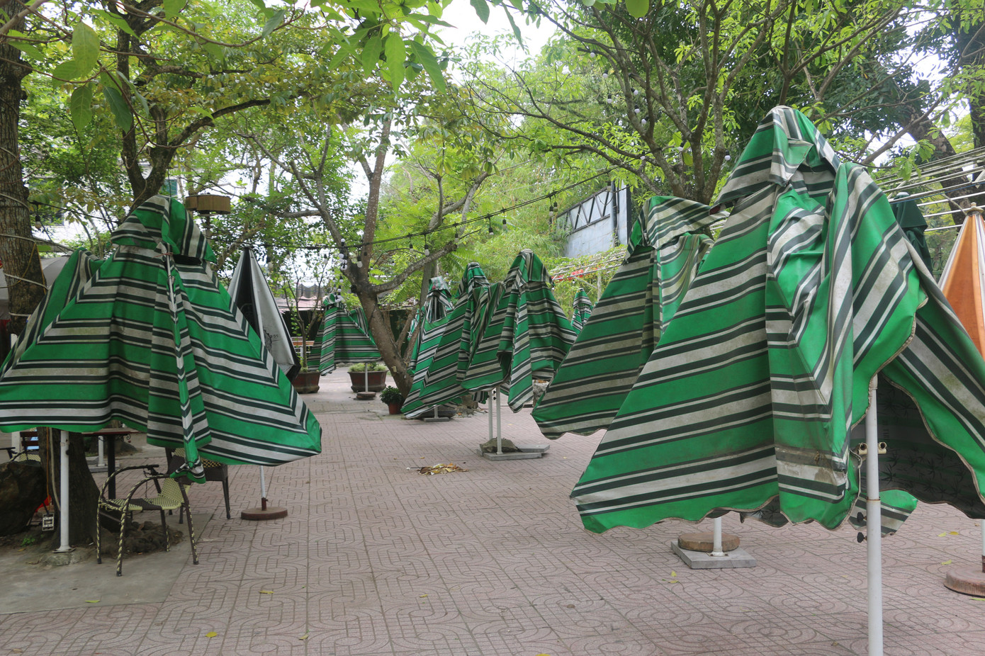 Nghệ An: Bất chấp ‘lệnh cấm’, nhiều quán cà phê mở cửa đón khách ảnh 3