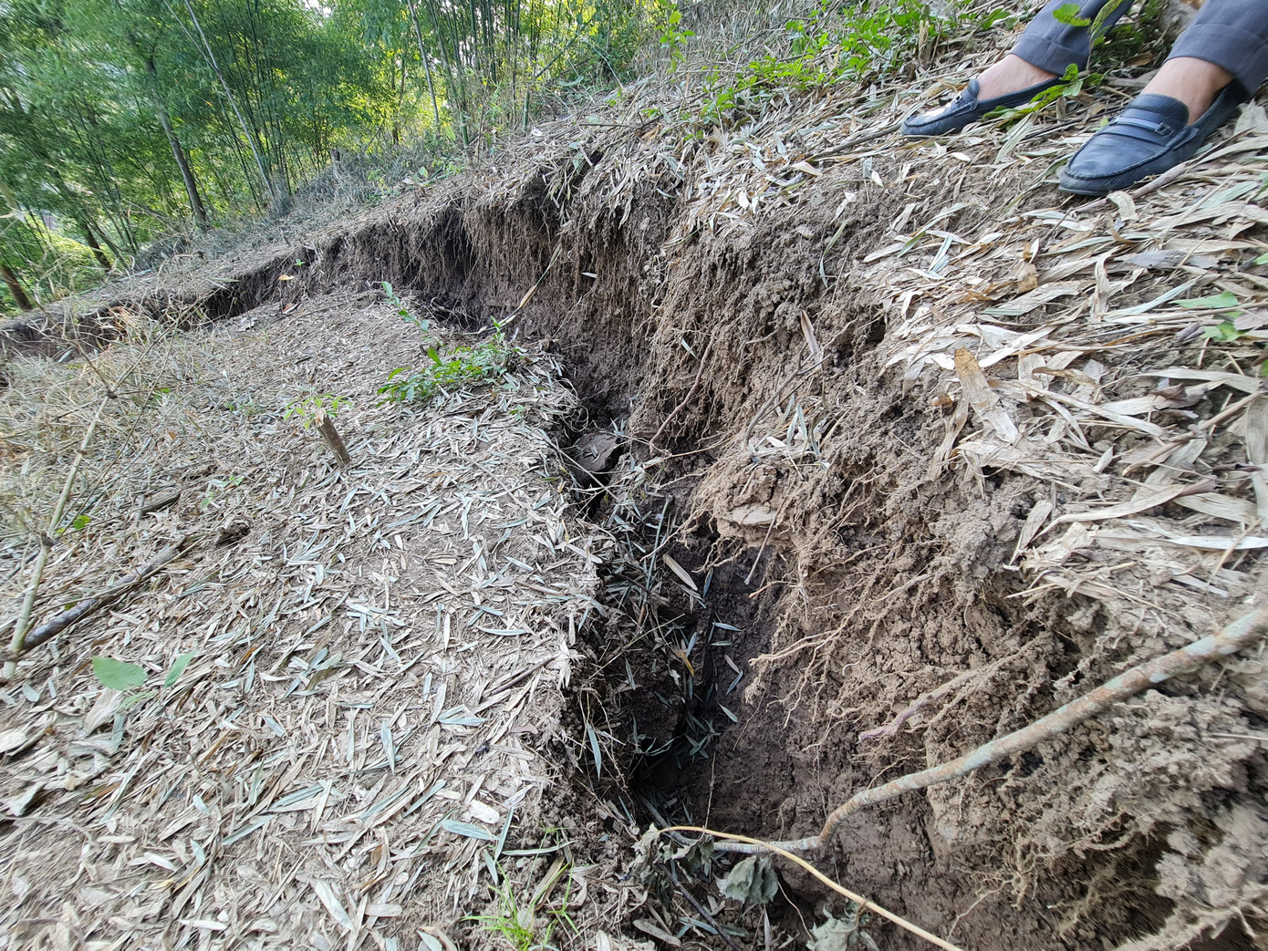 Sạt lở cả quả đồi ở Nghệ An, đe dọa tính mạng 60 người dân ảnh 11