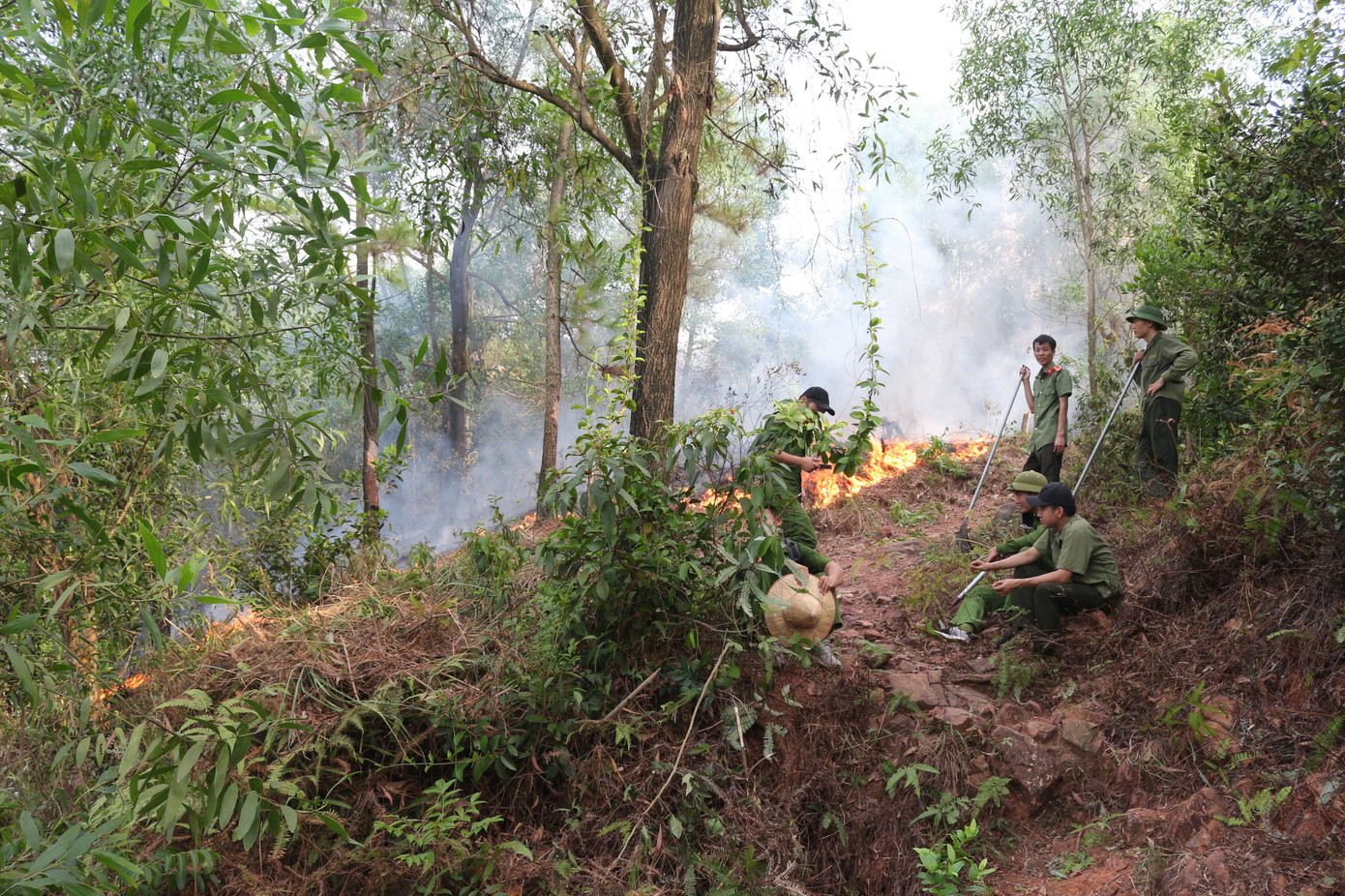 Trắng đêm cắt đường băng ngăn lửa “nuốt” rừng ảnh 3