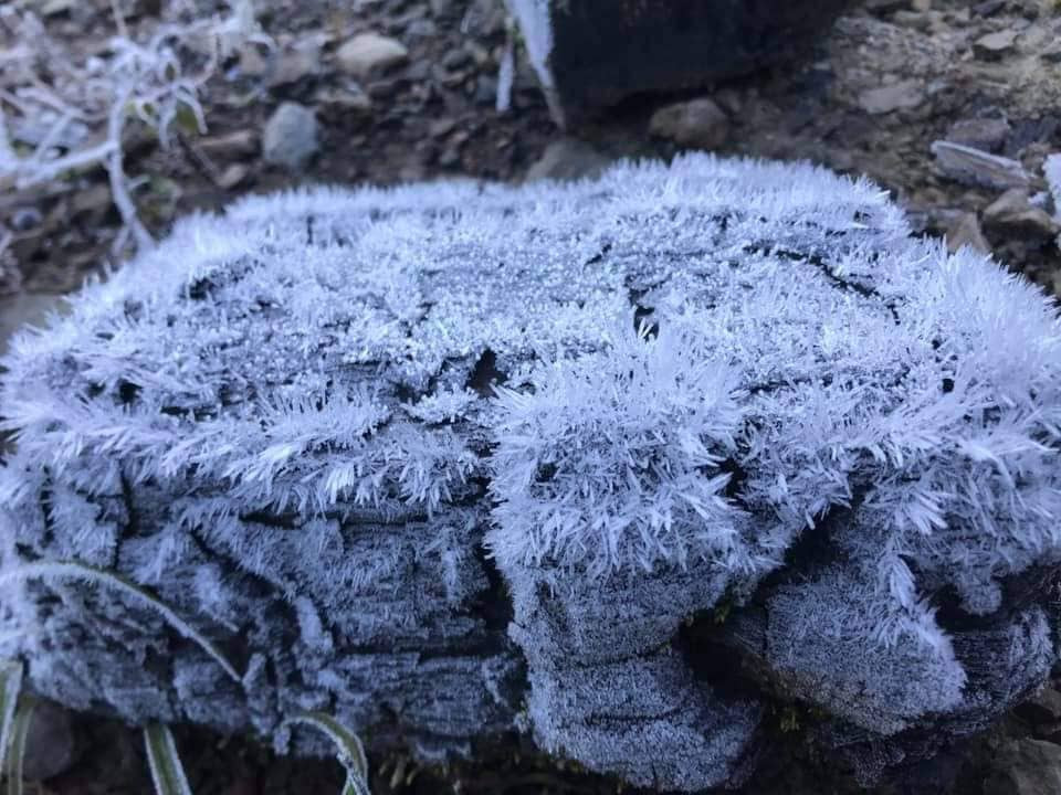 Băng giá phủ kín rừng cây bãi cỏ ở huyện biên giới Nghệ An ảnh 3