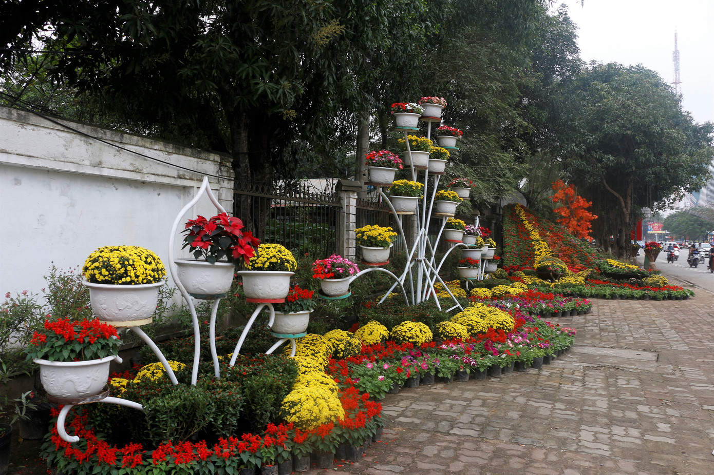 Rực rỡ đường hoa thành phố Vinh những ngày áp tết ảnh 1