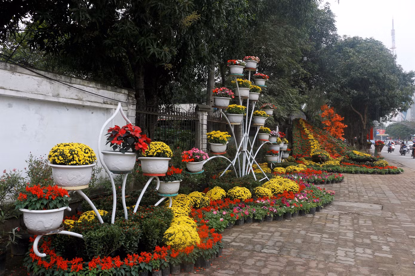 Rực rỡ đường hoa thành phố Vinh những ngày áp tết ảnh 1