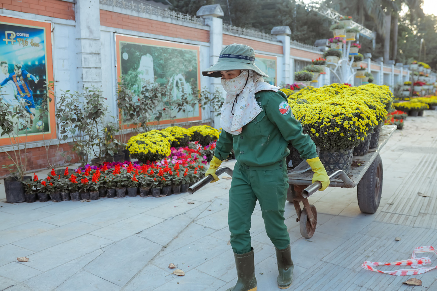 Rực rỡ sắc hoa trên phố đi bộ thành Vinh ngày giáp Tết ảnh 2