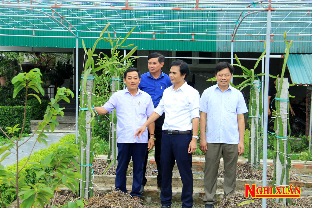 Xin nghỉ việc, một cán bộ xã được hỗ trợ gần 800 triệu đồng ảnh 1