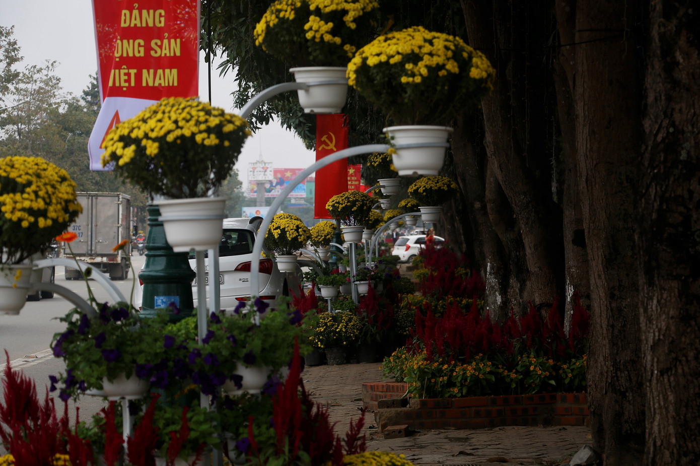 Rực rỡ đường hoa thành phố Vinh những ngày áp tết ảnh 12