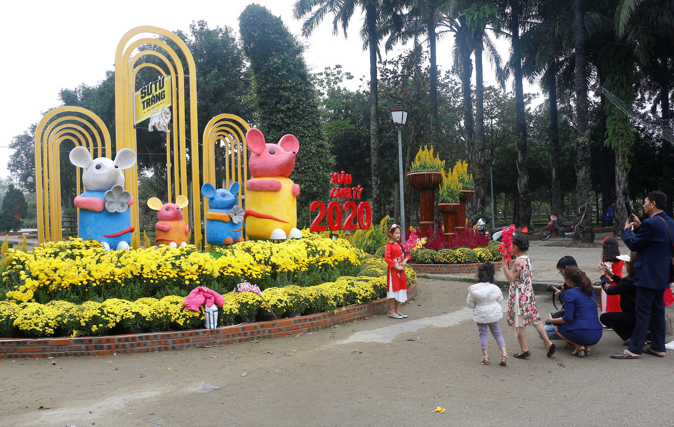 Rực rỡ đường hoa thành phố Vinh những ngày áp tết ảnh 14