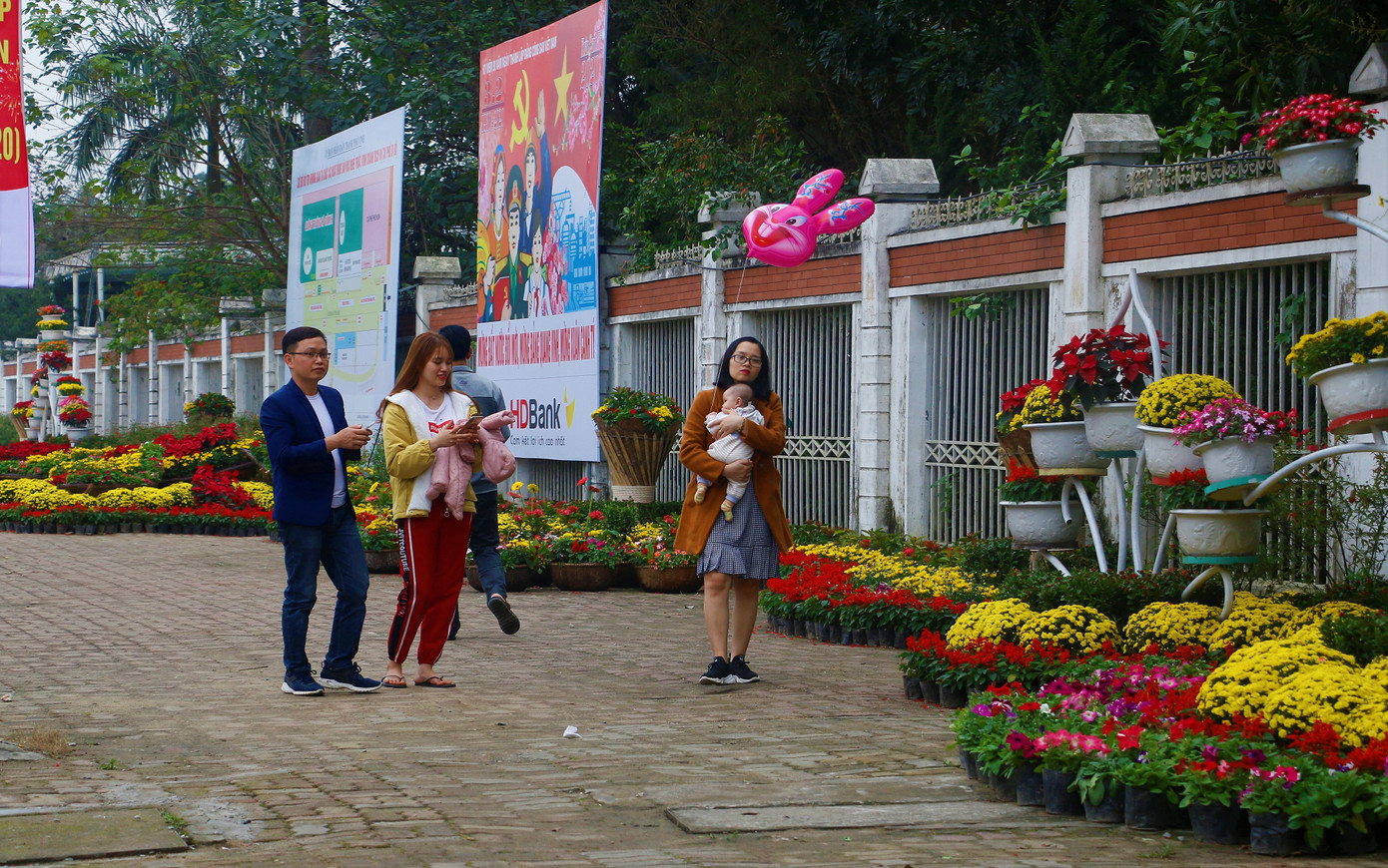 Rực rỡ đường hoa thành phố Vinh những ngày áp tết ảnh 3