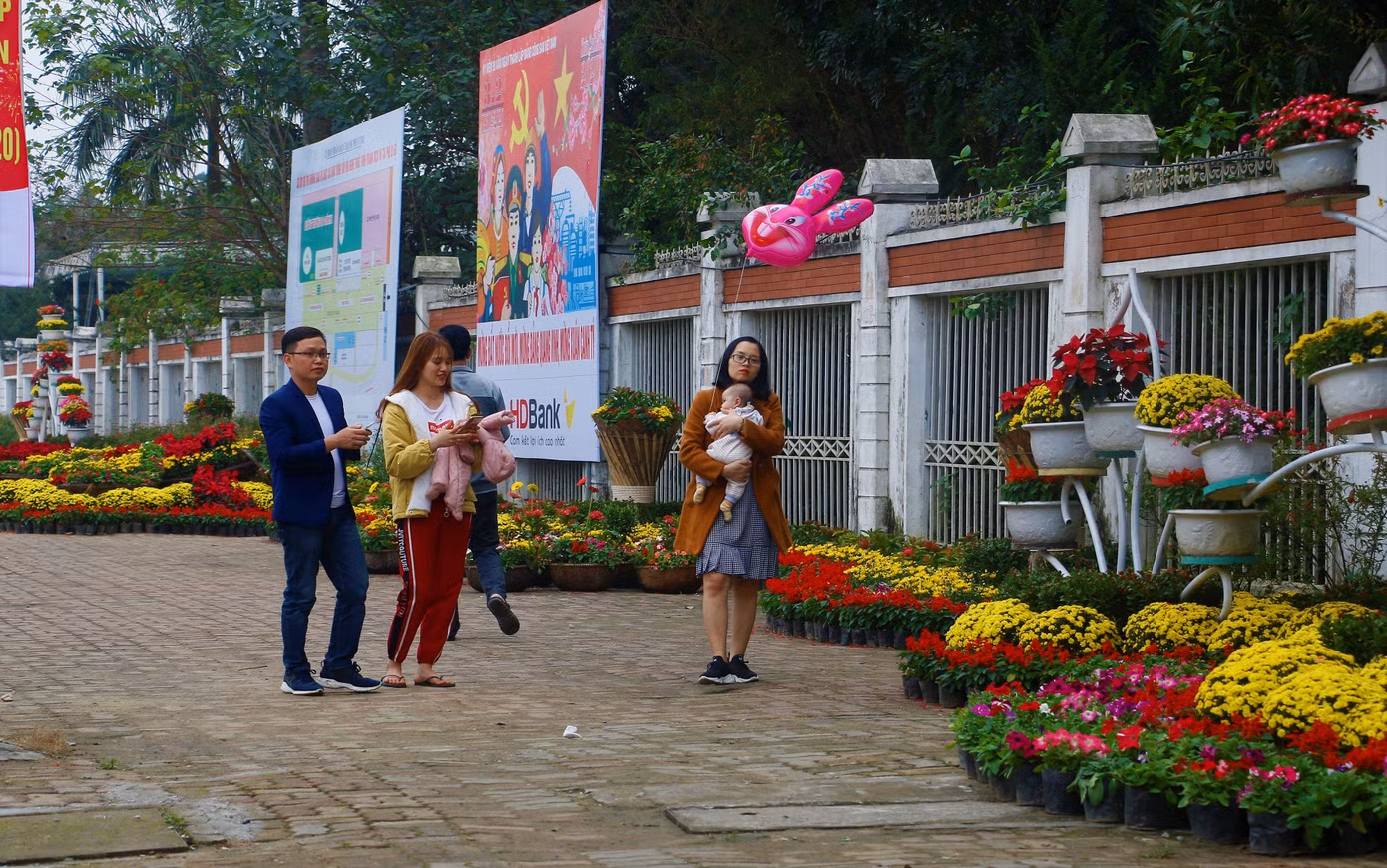 Rực rỡ đường hoa thành phố Vinh những ngày áp tết ảnh 3