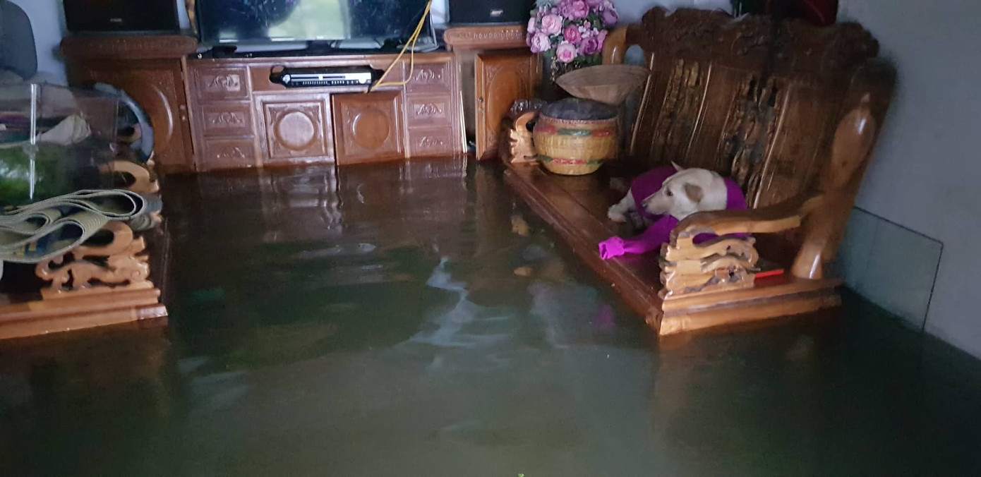 Thành Vinh 'thất thủ' sau trận mưa xối xả ảnh 11