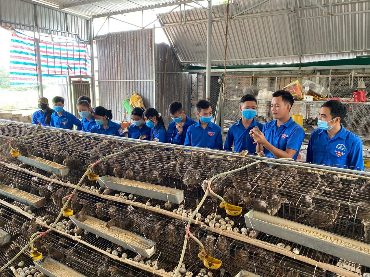 Nghị lực của chàng thanh niên mồ côi thu nhập trăm triệu đồng mỗi tháng ảnh 2