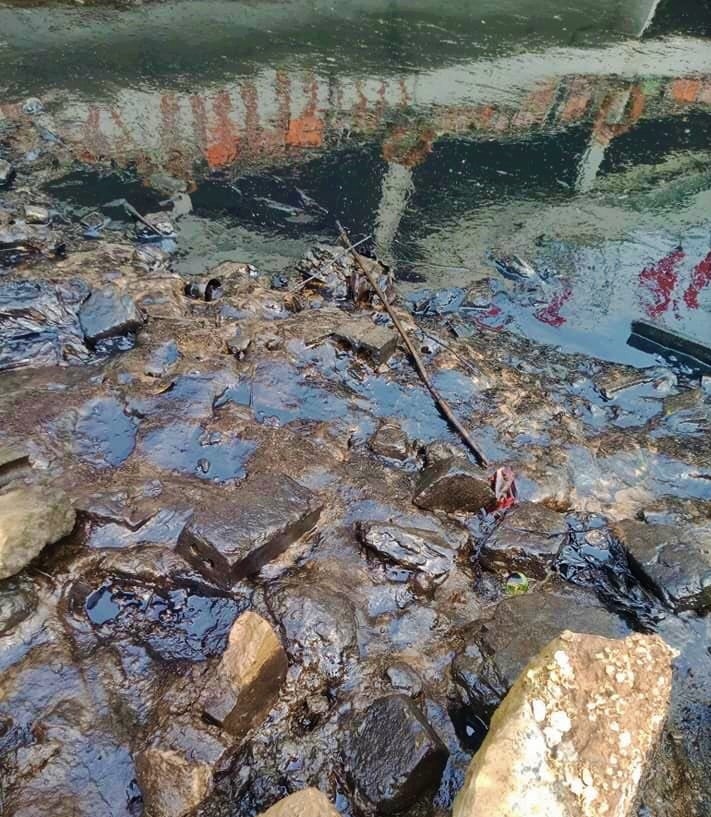 Bờ sông Lam xuất hiện vệt dầu thải đen kịt ảnh 3