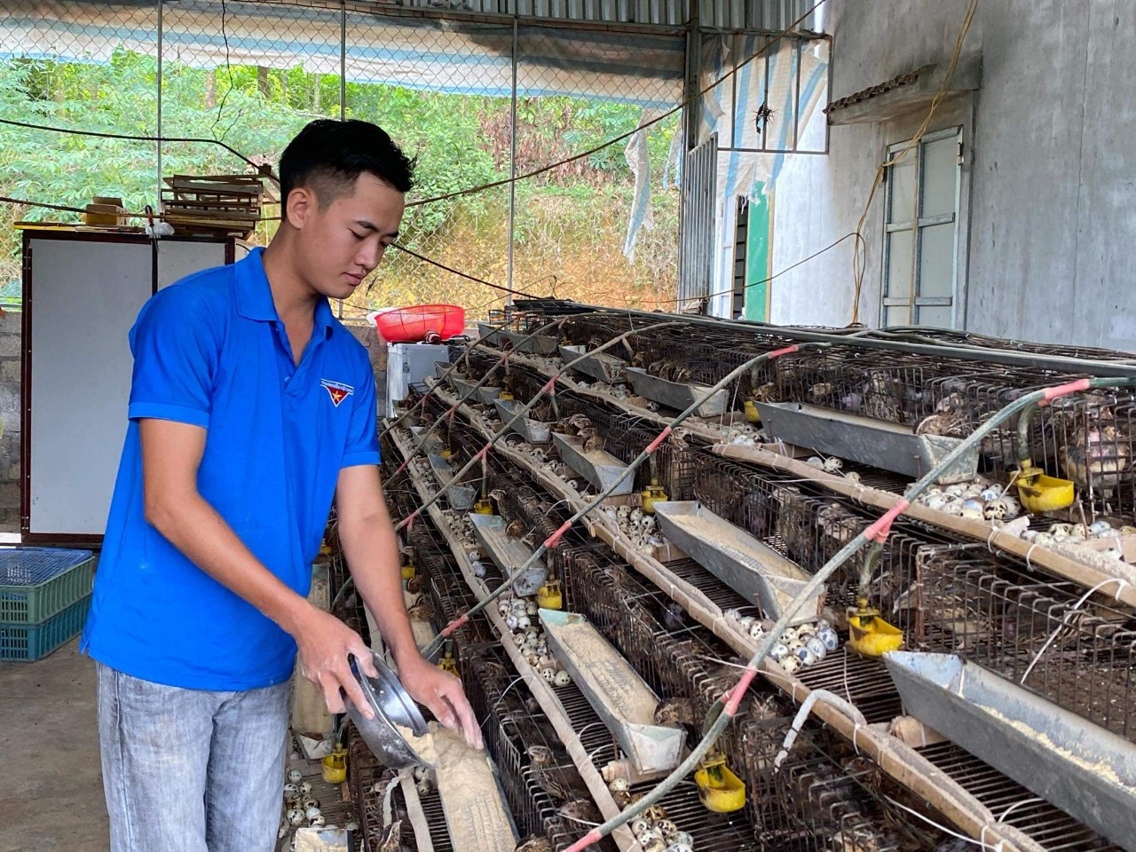 Nghị lực của chàng thanh niên mồ côi thu nhập trăm triệu đồng mỗi tháng ảnh 1