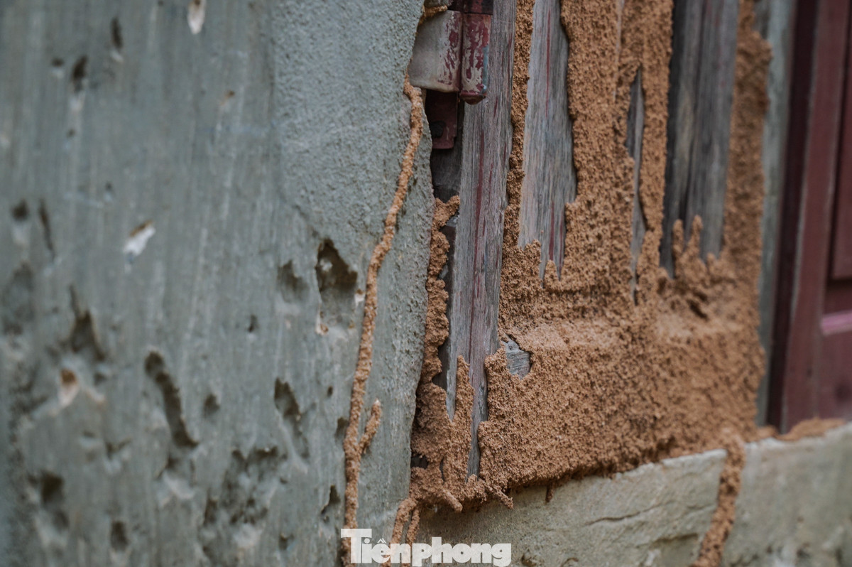 Tường nứt, ngói đổ, thầy trò bỏ lớp ra nhà giữ xe để học ảnh 2