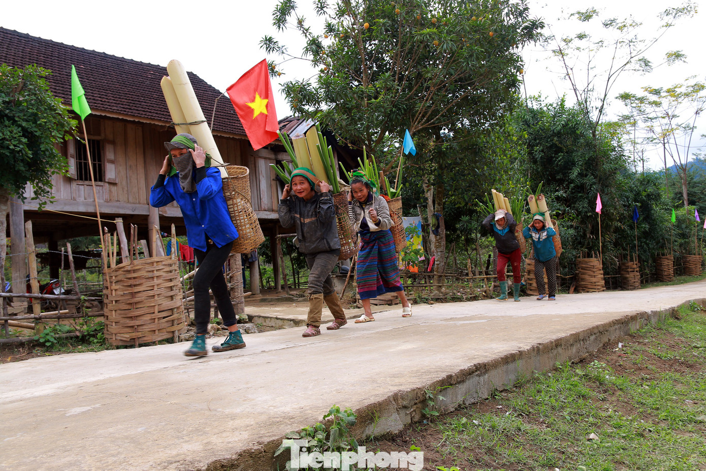 Rét run cầm cập, người dân vùng cao đắp chăn sưởi ấm cho gia súc ảnh 12