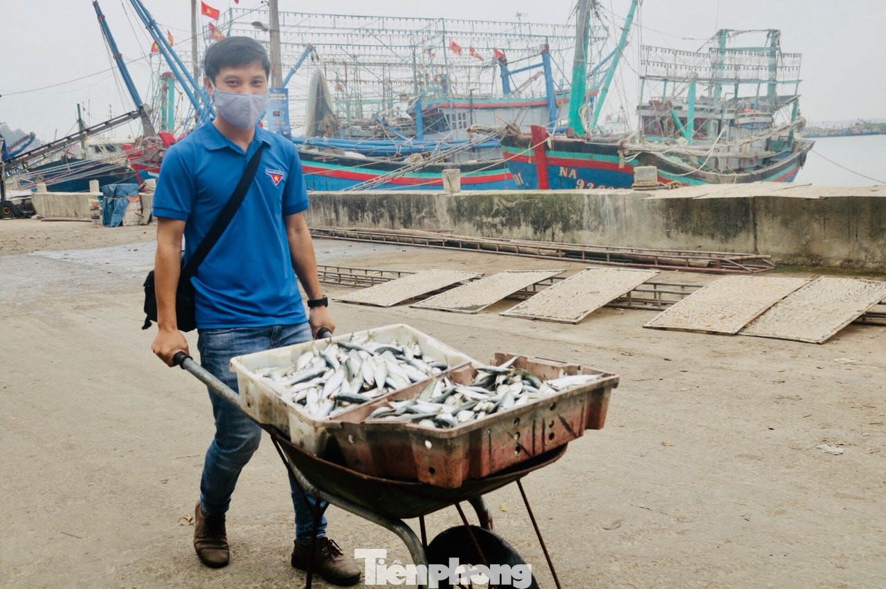 Ngư dân Nghệ An mang hàng tạ cá biển tươi đến ủng hộ khu cách ly tập trung ảnh 5