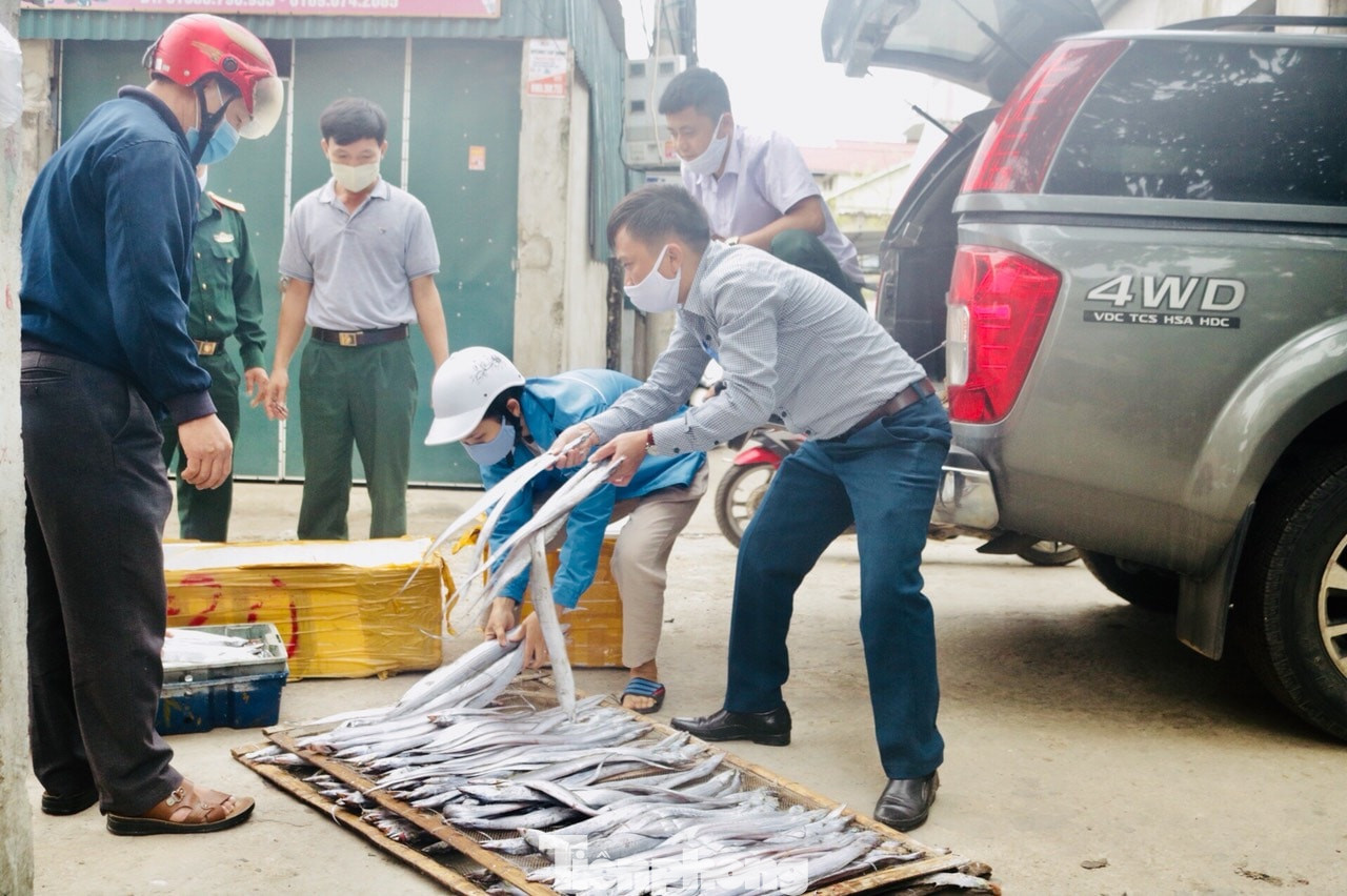 Ngư dân Nghệ An mang hàng tạ cá biển tươi đến ủng hộ khu cách ly tập trung ảnh 7