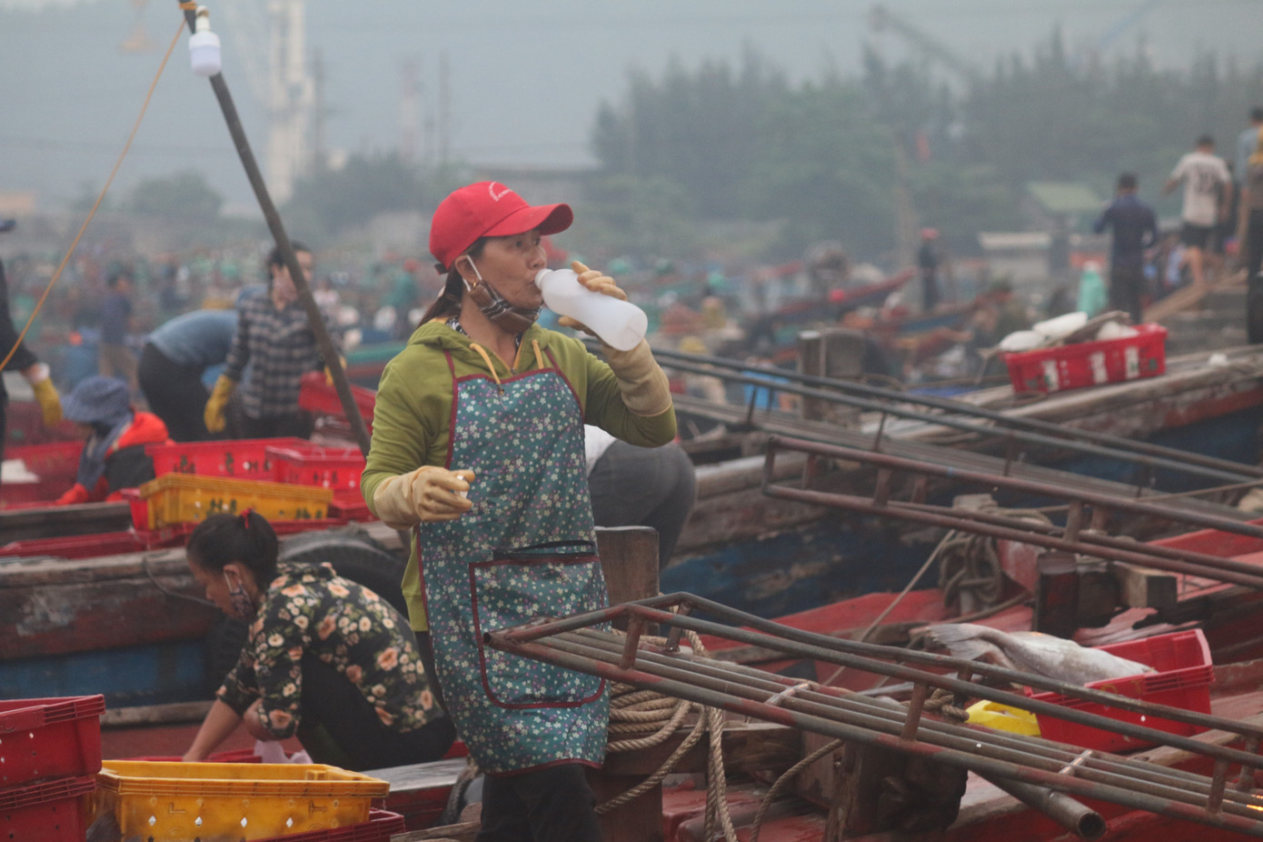Nhịp sống nơi cảng cá bình yên mỗi chuyến thuyền về cập bến ảnh 10