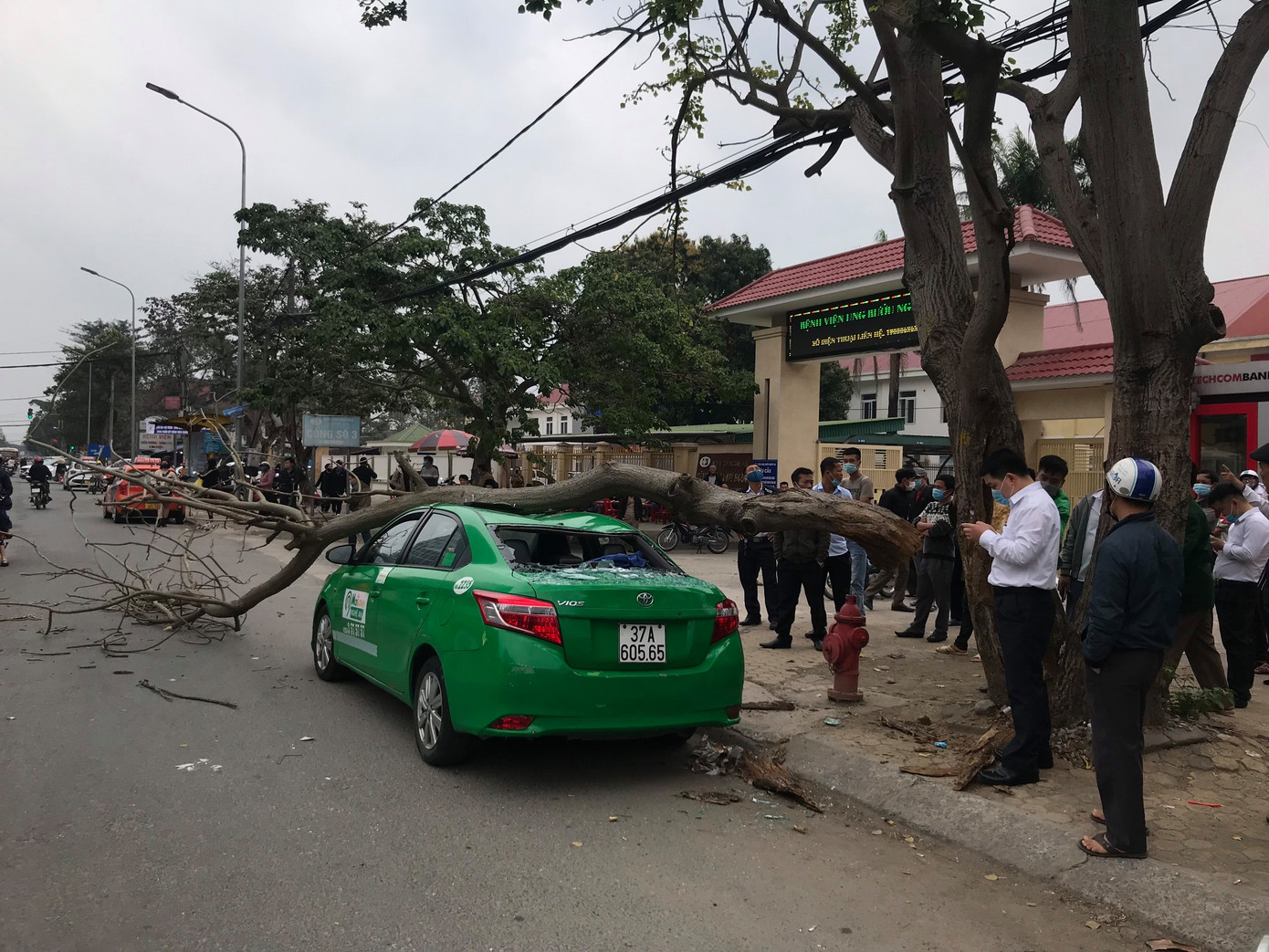 Kinh hoàng cành cây bất ngờ đè bẹp dúm taxi ảnh 3
