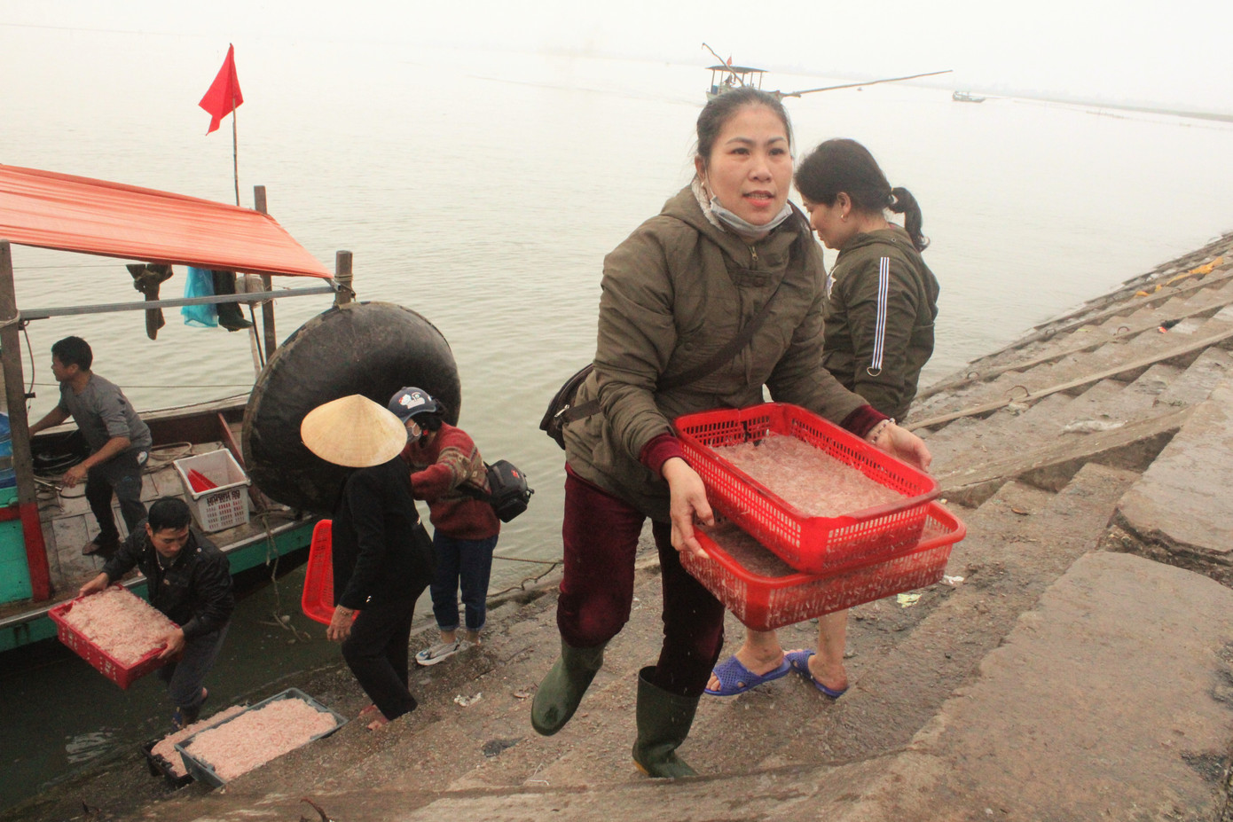 Ngư dân Hà Tĩnh hốt 'lộc trời' đầu năm, kiếm tiền triệu sau vài giờ ra khơi ảnh 7