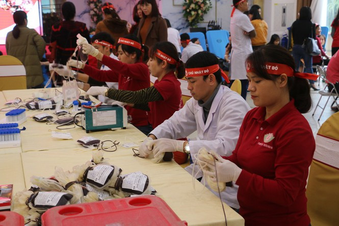 Nghệ An sẵn sàng Chủ Nhật Đỏ lần thứ XII ảnh 2