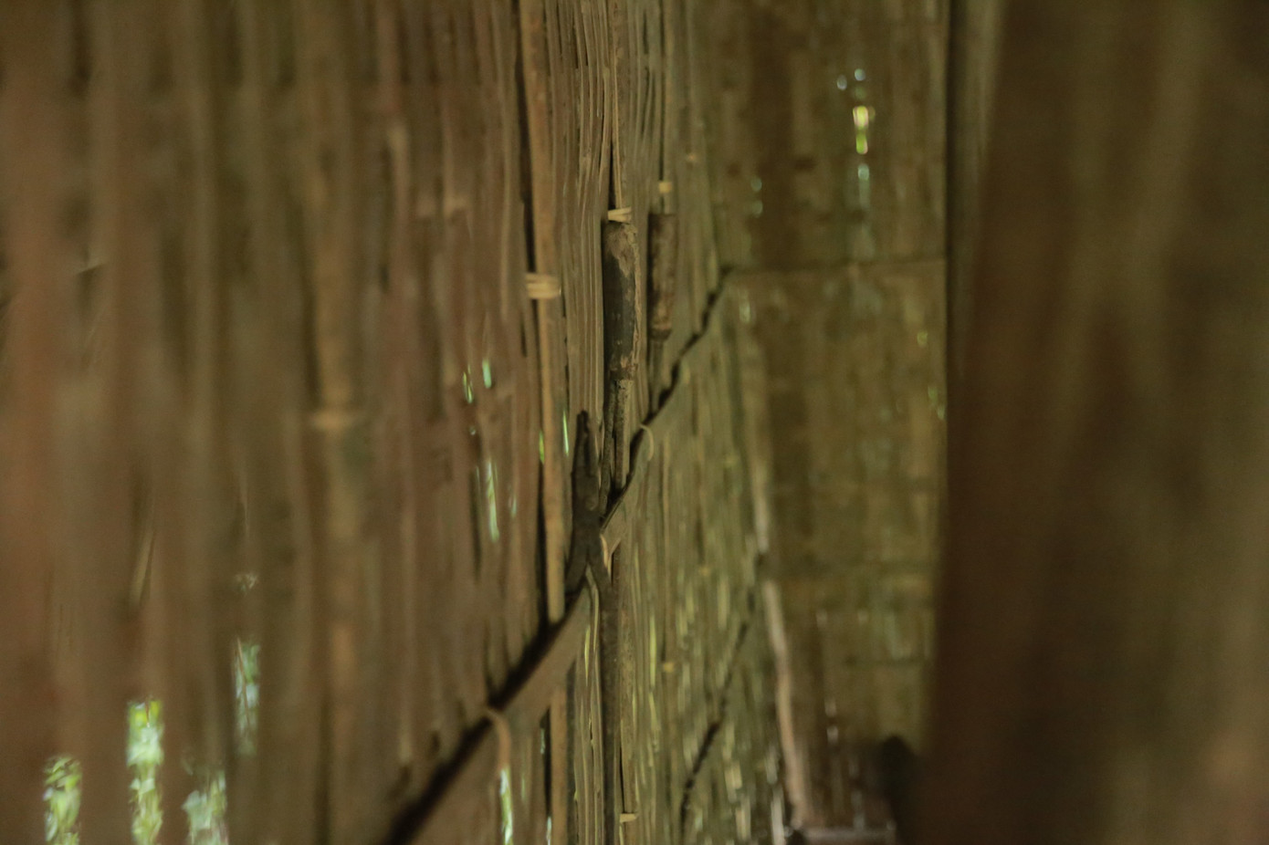 Bình dị kỷ vật trong ngôi nhà tranh thuở ấu thơ của Bác ảnh 5