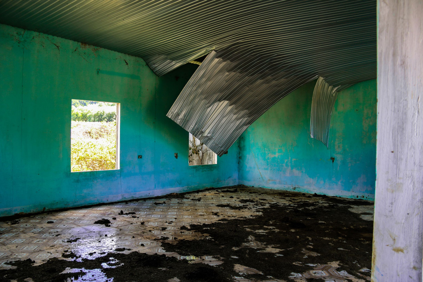 Cảnh hoang tàn tại trung tâm giống chăn nuôi đầu tư gần 20 tỷ đồng ảnh 5