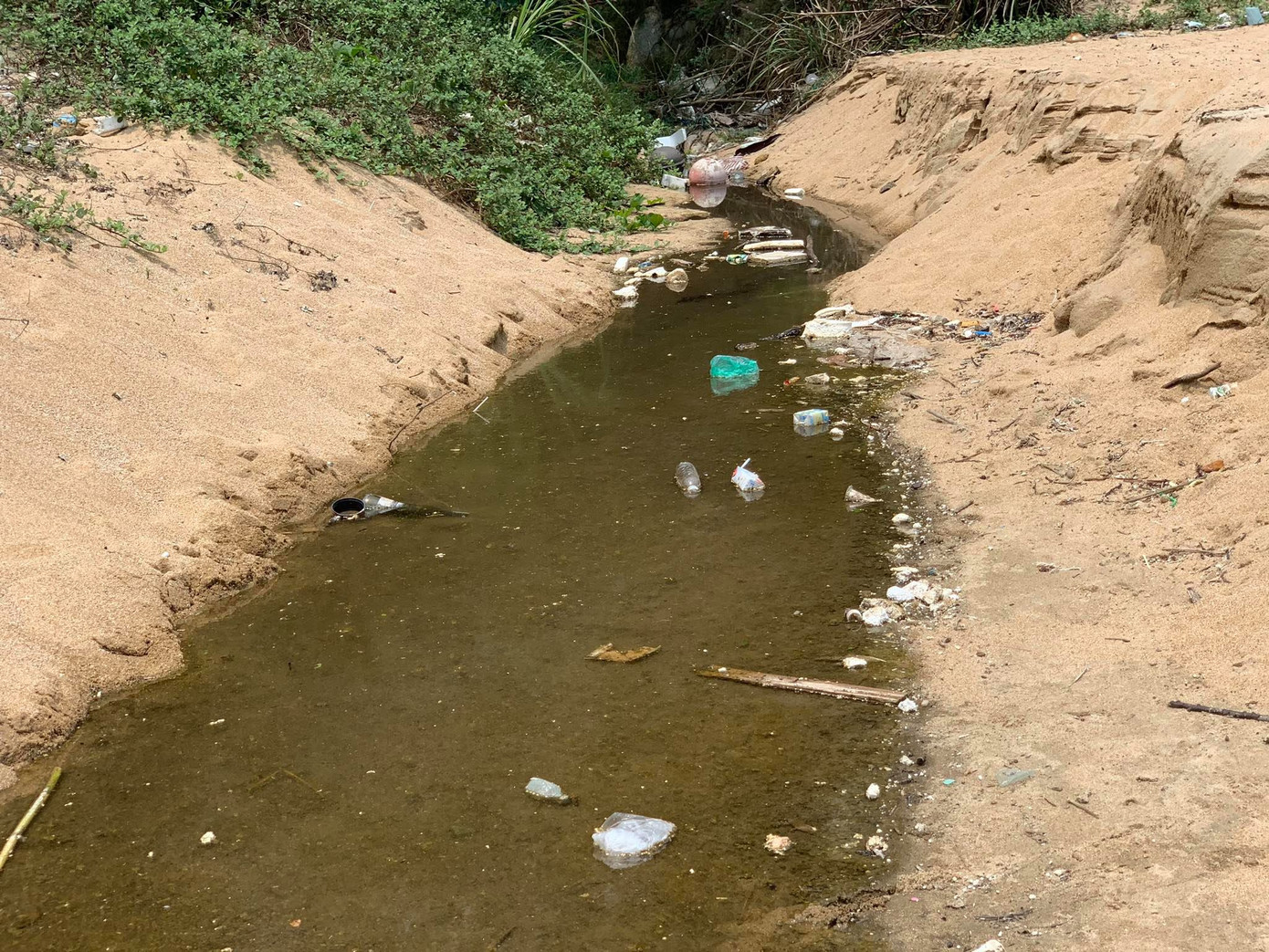 Xã phớt lờ lệnh cấm, để dân 'xẻ' đất lấn biển kinh doanh ảnh 8