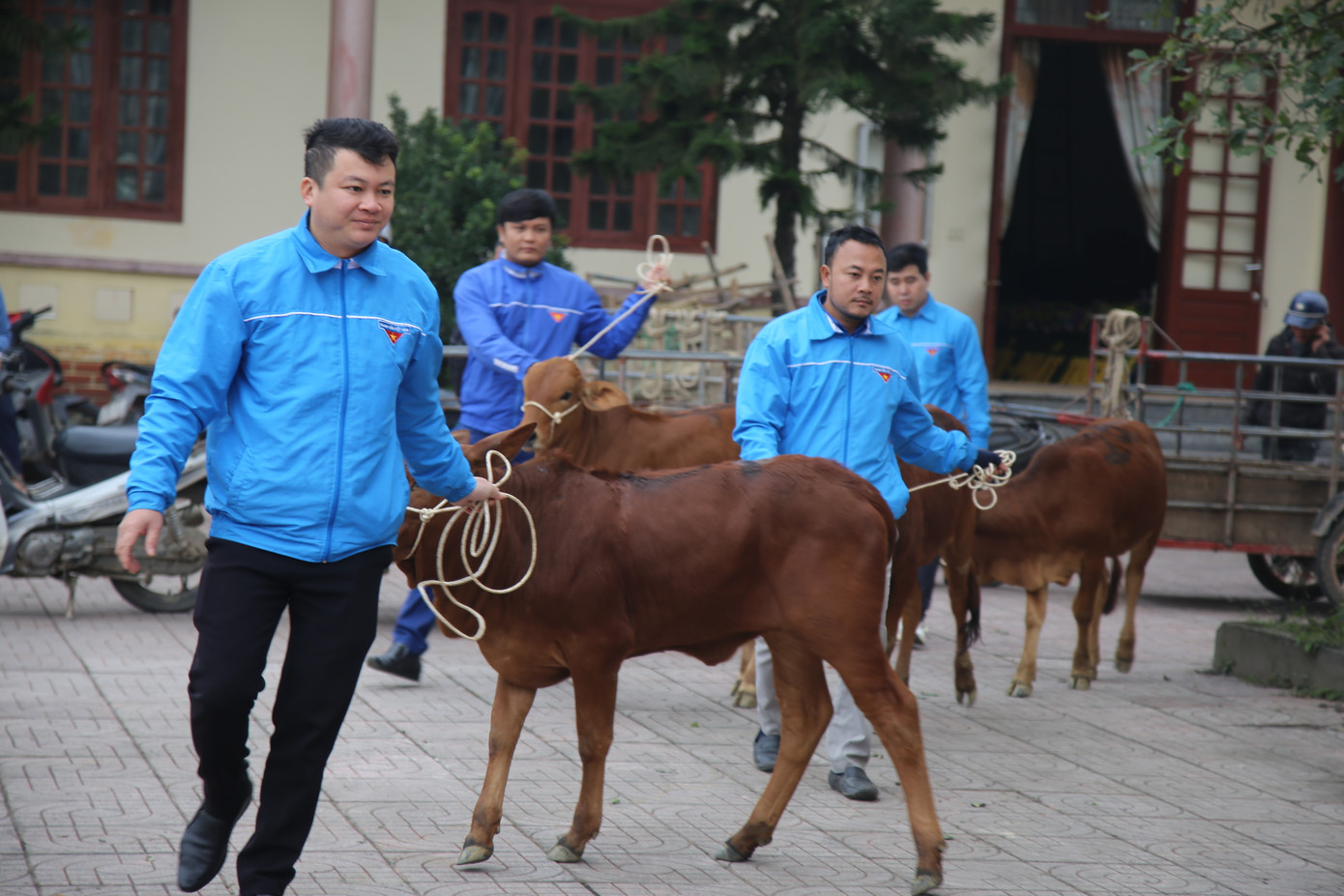 Tập đoàn Phúc Sơn, Báo Tiền Phong trao bò giống hỗ trợ bà con vùng lũ Hà Tĩnh ảnh 7