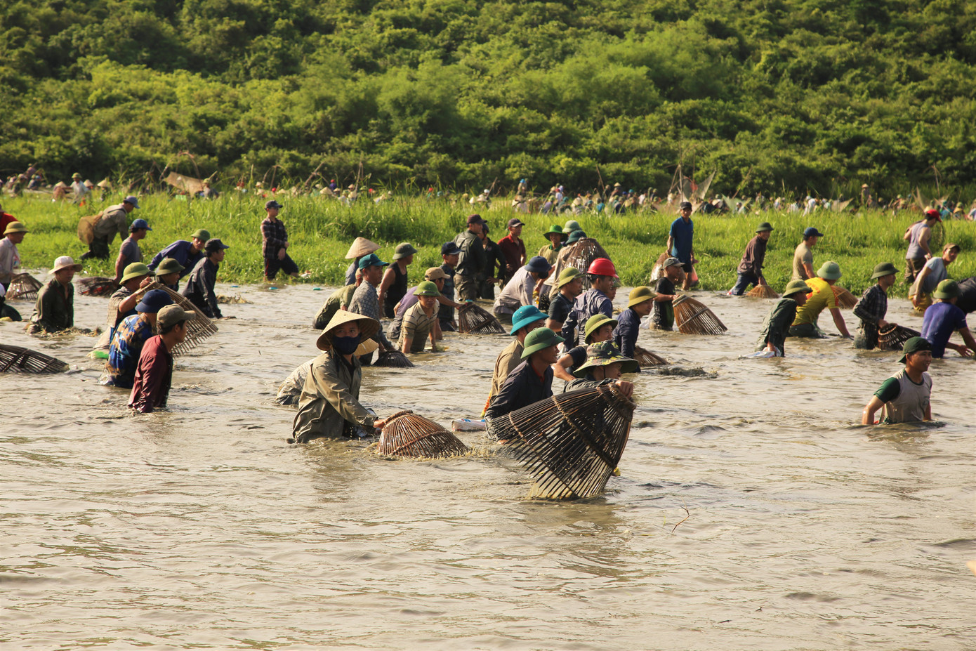 Sau tiếng hô lớn, hàng trăm người dân nhào xuống Đầm Vực bắt cá ảnh 3