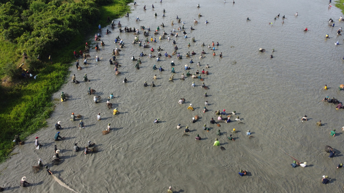 Sau tiếng hô lớn, hàng trăm người dân nhào xuống Đầm Vực bắt cá ảnh 4