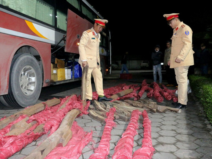 Bắt xe khách chở gần 1 tấn gỗ quý vi vu từ Gia Lai ra Hà Nội ảnh 1