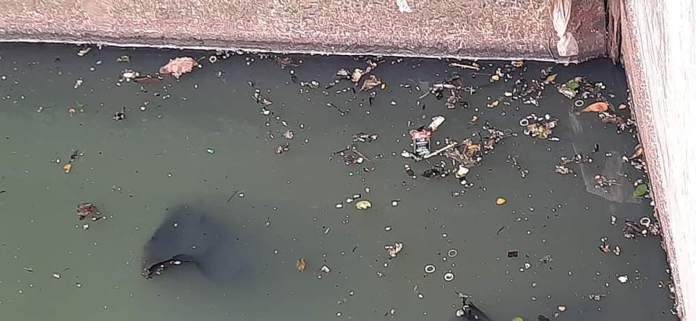 Hàng loạt hồ điều hoà ở Nghệ An ô nhiễm nặng, người dân ngán ngẩm cầu cứu ảnh 2