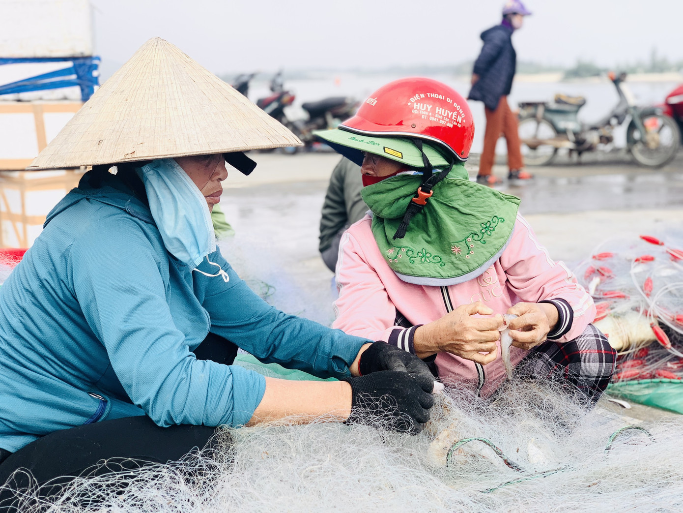 Được mùa cá cháo, ngư dân Hà Tĩnh thu tiền triệu mỗi chuyến ra khơi ảnh 6