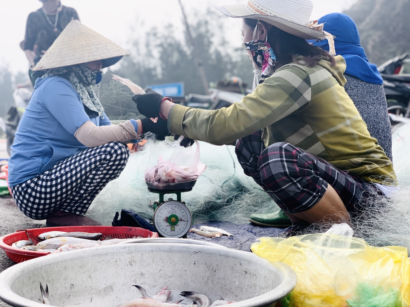 Được mùa cá cháo, ngư dân Hà Tĩnh thu tiền triệu mỗi chuyến ra khơi ảnh 12
