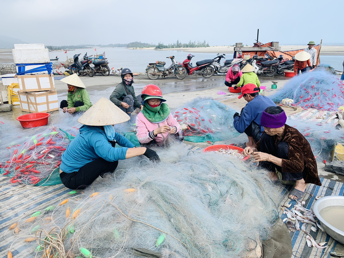 Được mùa cá cháo, ngư dân Hà Tĩnh thu tiền triệu mỗi chuyến ra khơi ảnh 9