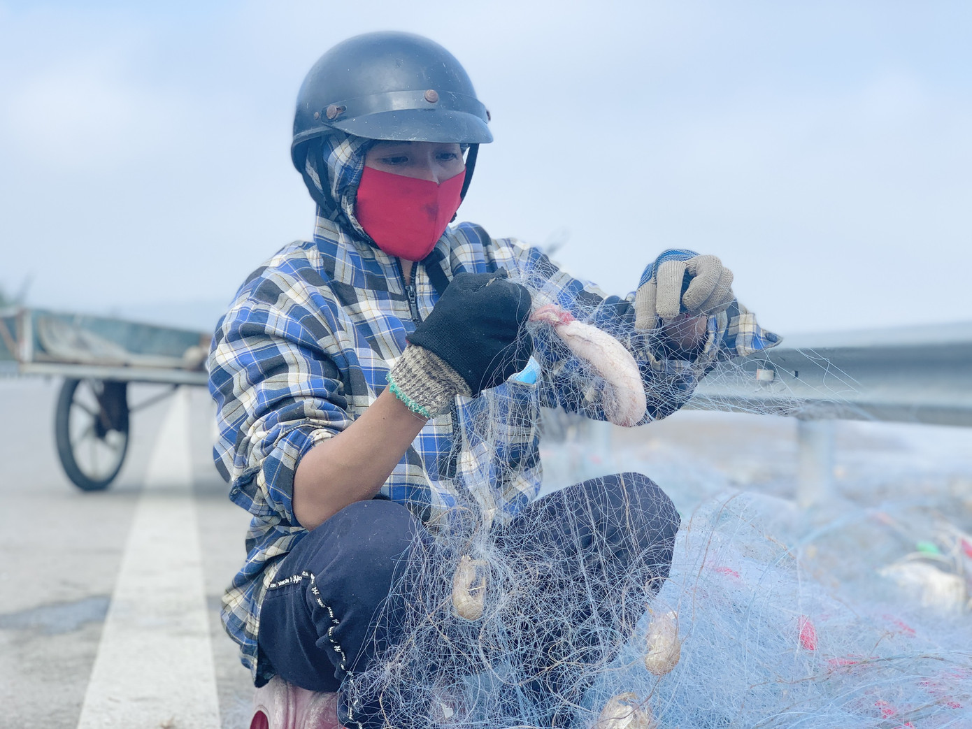 Được mùa cá cháo, ngư dân Hà Tĩnh thu tiền triệu mỗi chuyến ra khơi ảnh 2