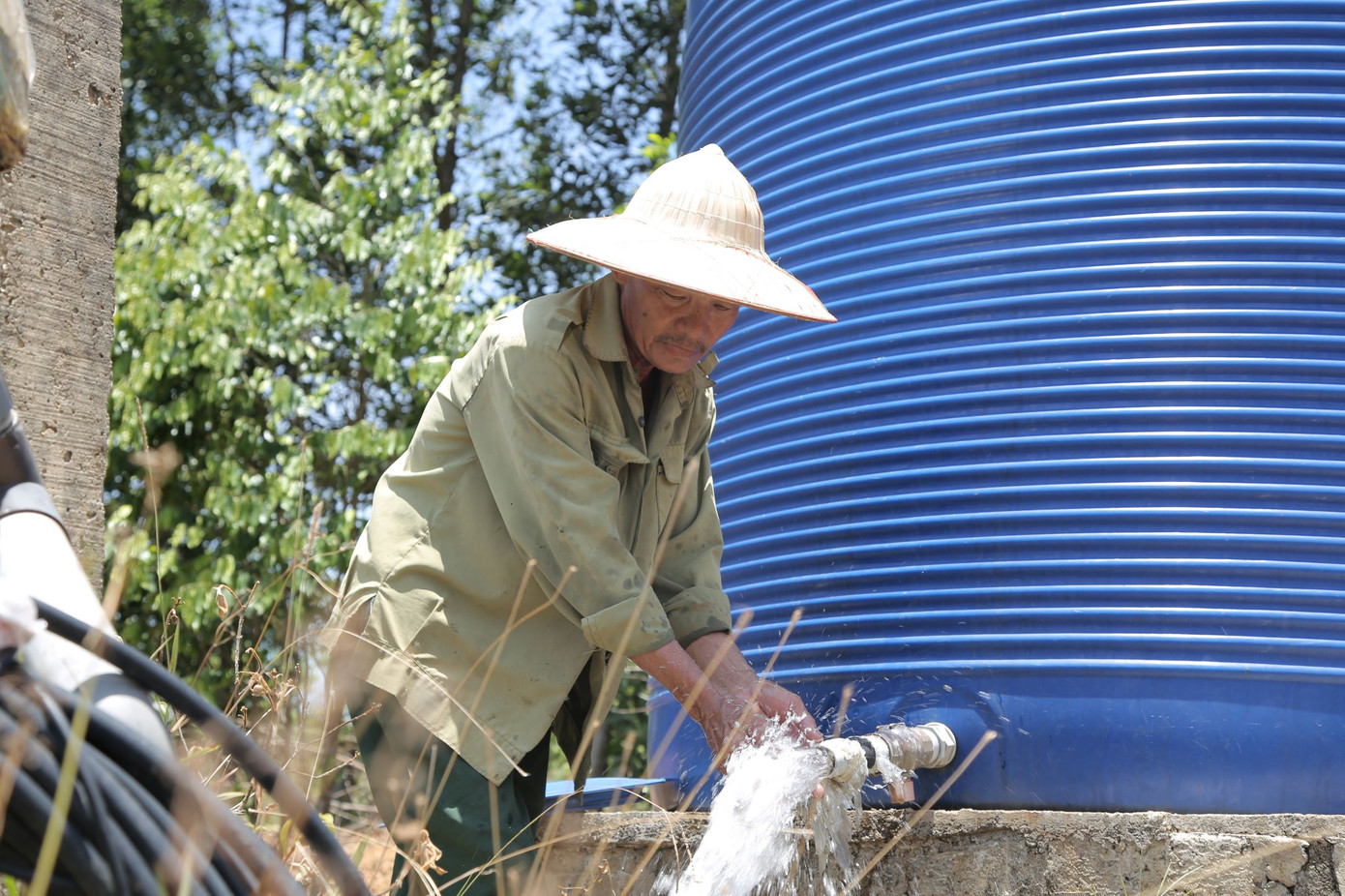 Đồi cam, bưởi héo dần do nắng hạn, nguy cơ thất thu hàng chục tỷ đồng ảnh 10