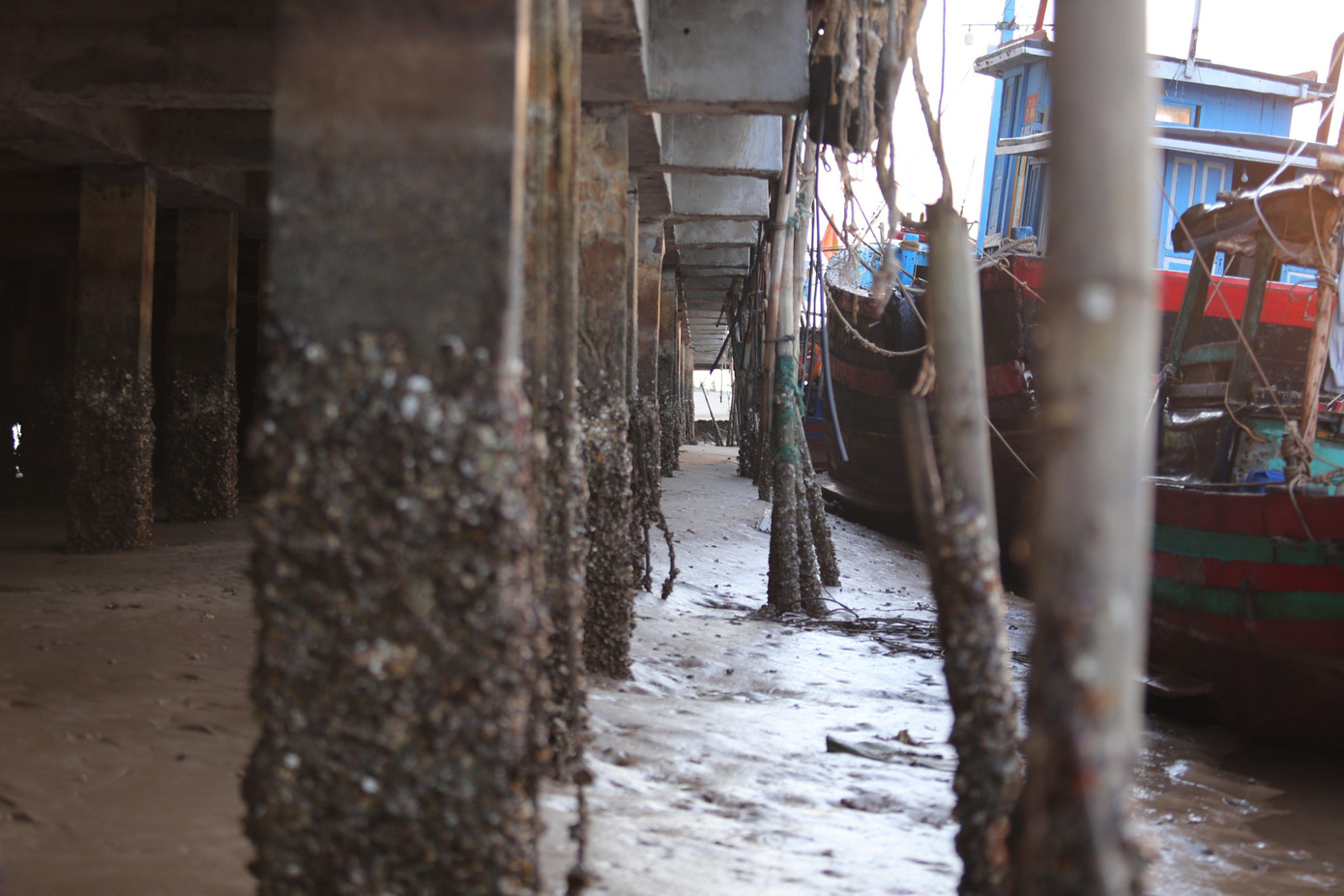 Cảng cá hơn 110 tỷ bị bồi lấp, tàu thuyền 'treo' trên cát ảnh 5