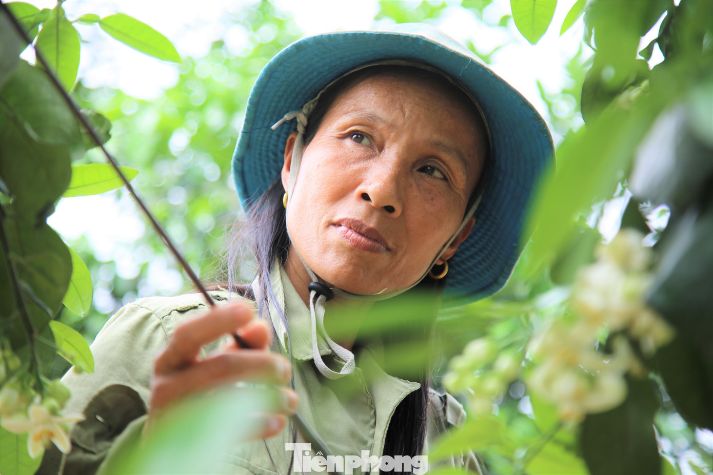 Xem nông dân Hà Tĩnh thụ phấn cho 'đệ nhất bưởi' ảnh 7